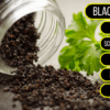Black Pepper (کالی مرچ)