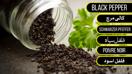 Black Pepper (کالی مرچ)